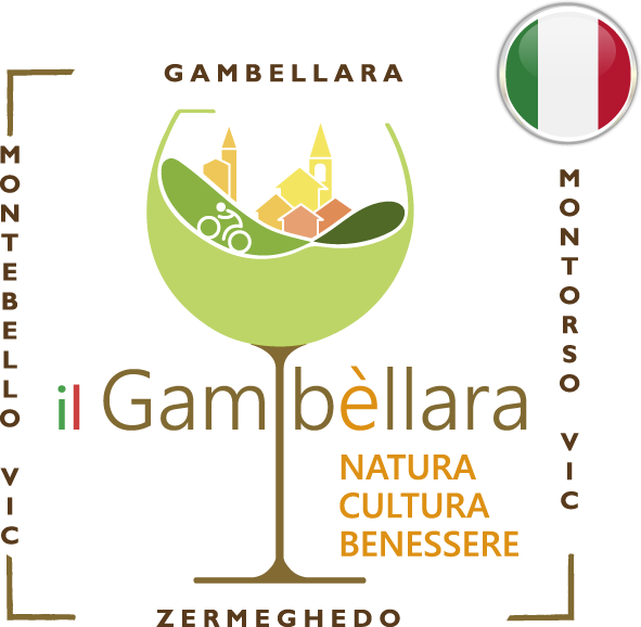 logo-Gambellara