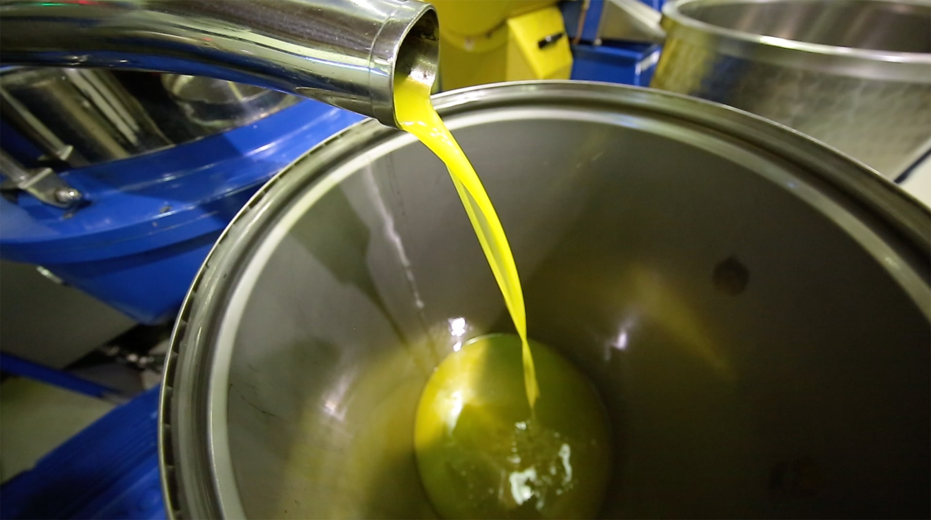 Uscita dalla centrifuga del Frantoio dell'Olio Extra Vergine Veneto Valpolicella DOP